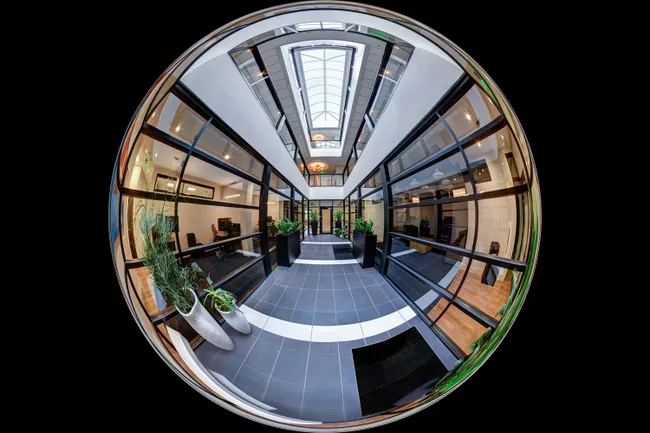 https://cj.mintleafmarketing.com/assets/